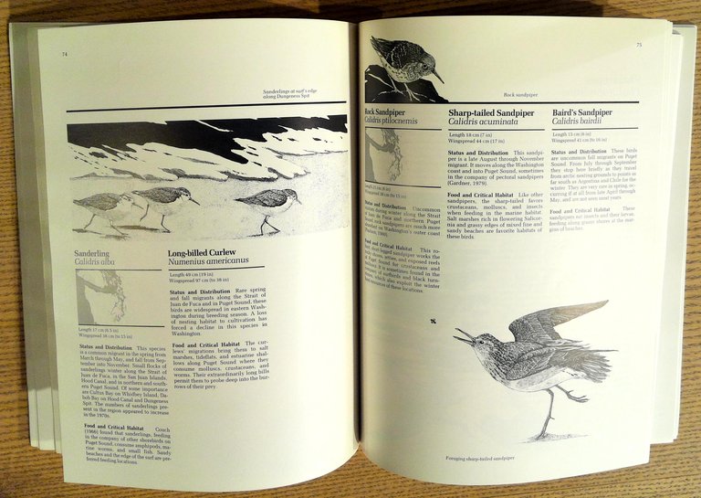 Marine Birds and Mammals of Puget Sound (Puget Sound Book)