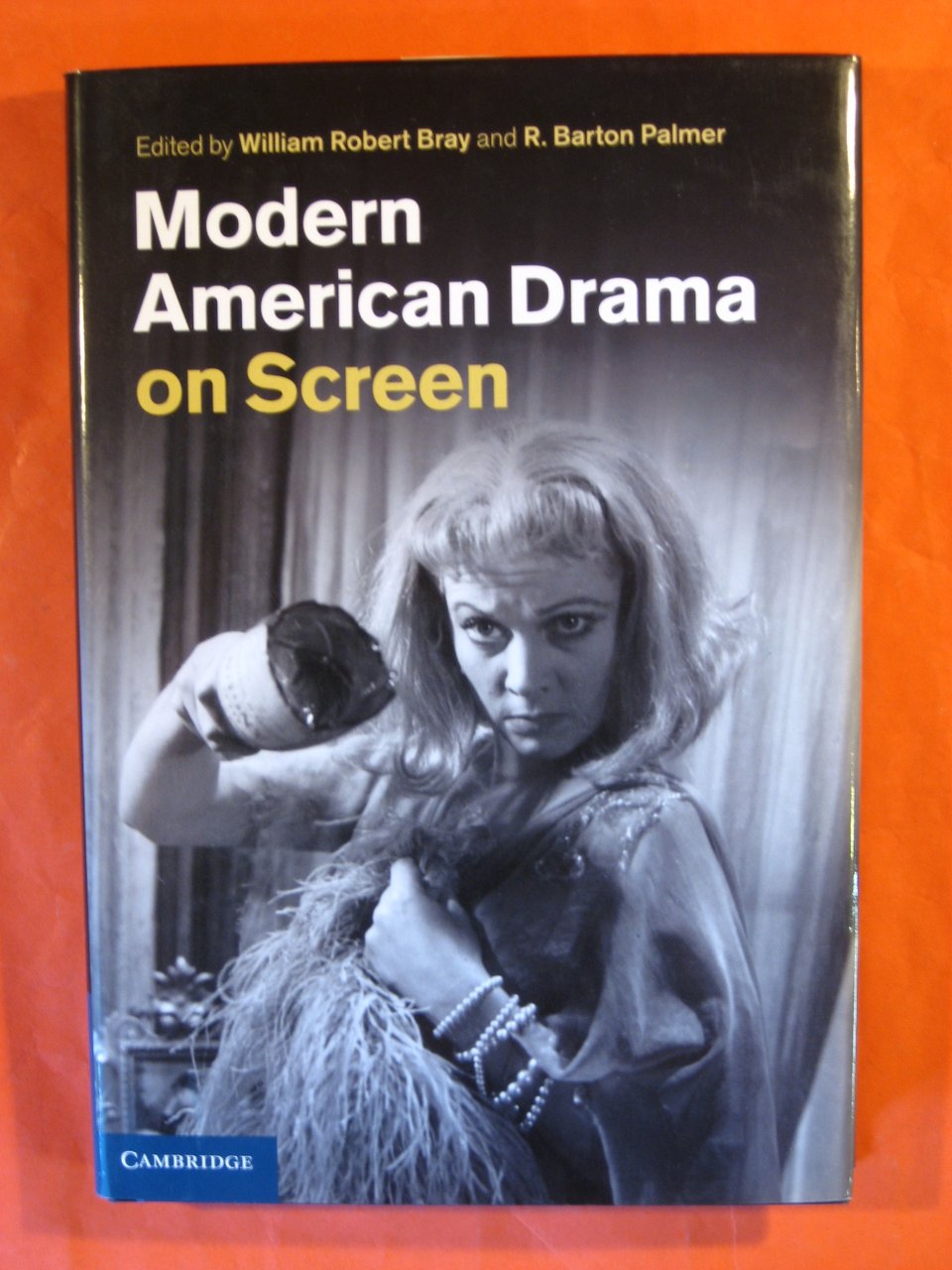 Modern American Drama on Screen