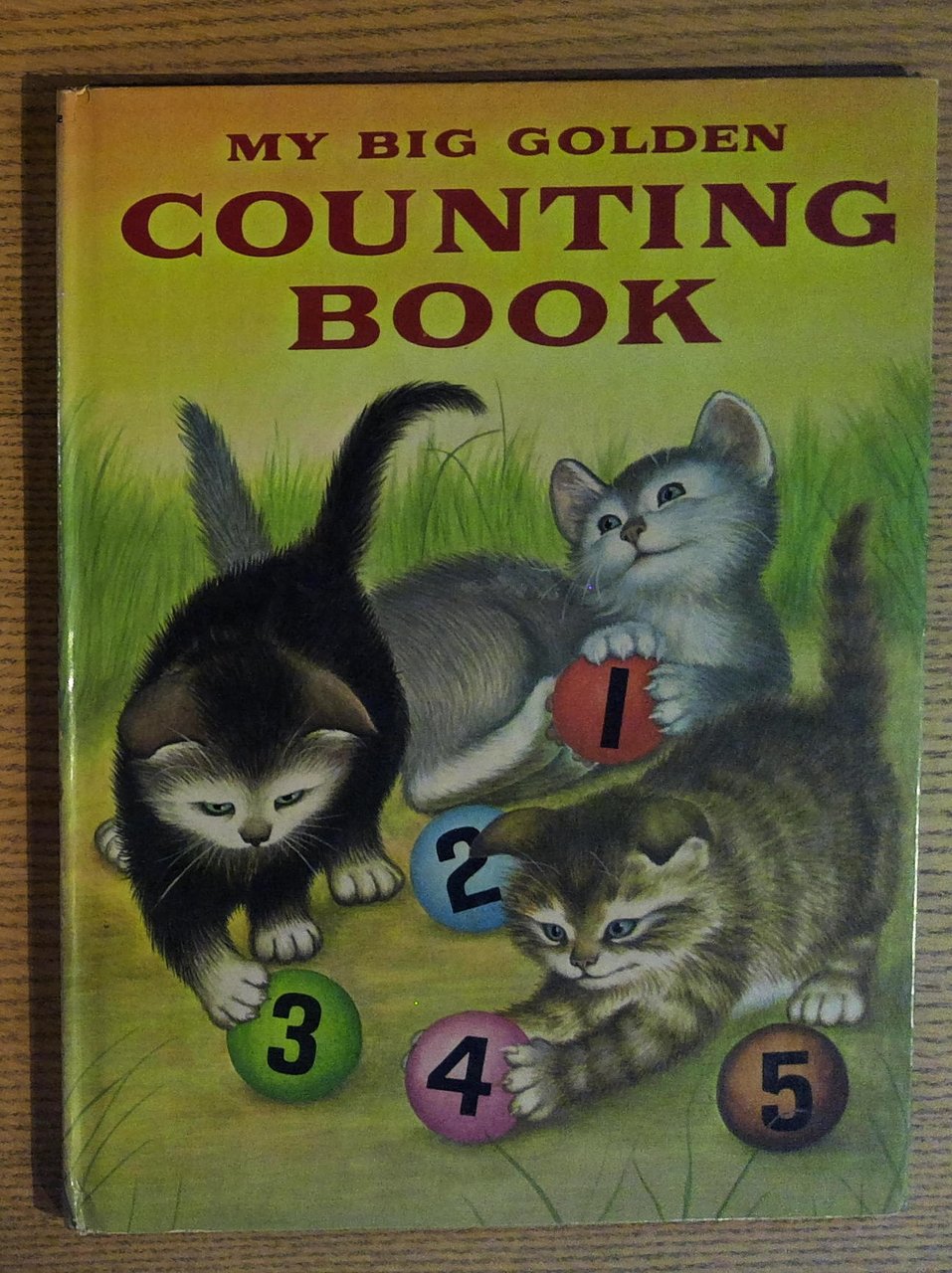 My Big Golden Counting Book