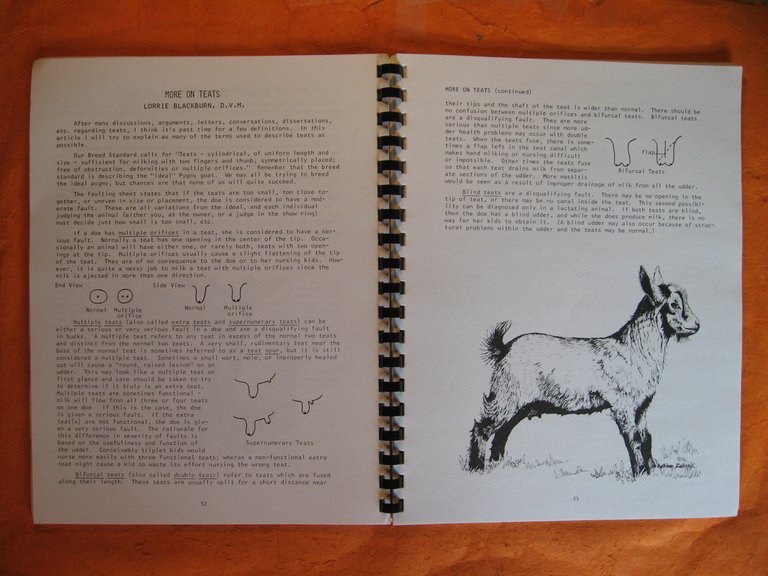 Pygmy Goats: The Best of Memo 1976 - 1981