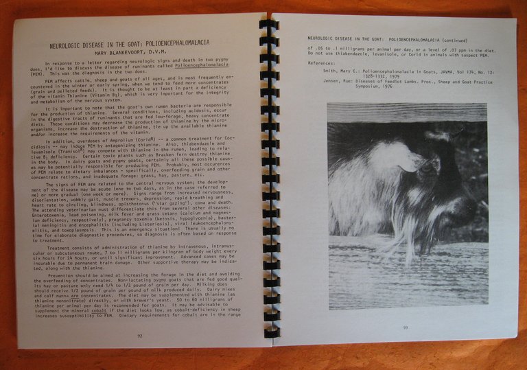 Pygmy Goats: The Best of Memo 1976 - 1981