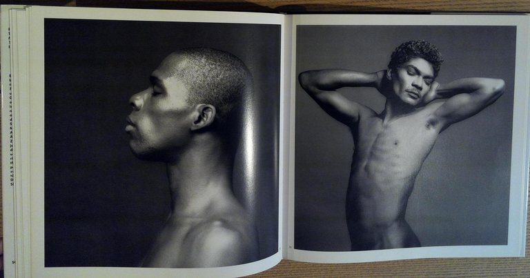 Robert Mapplethorpe: The Black Book