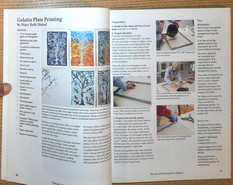 The Art of Printing From Nature : A Guidebook From …