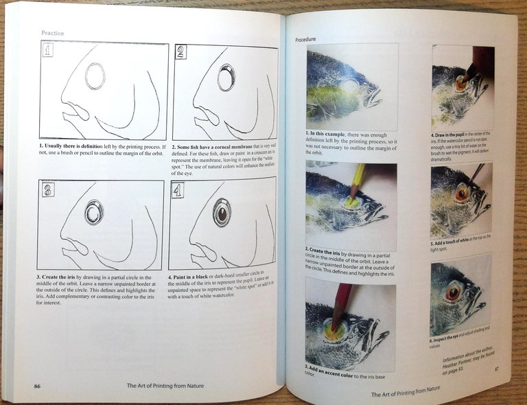 The Art of Printing From Nature : A Guidebook From …