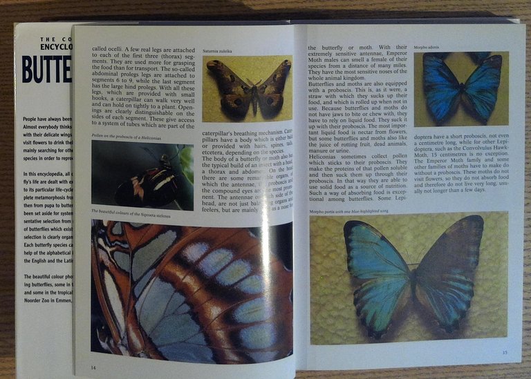 The Complete Encyclopedia of Butterflies: Describes the Development and the …