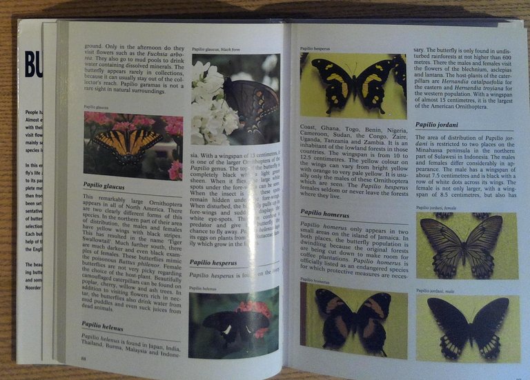 The Complete Encyclopedia of Butterflies: Describes the Development and the …