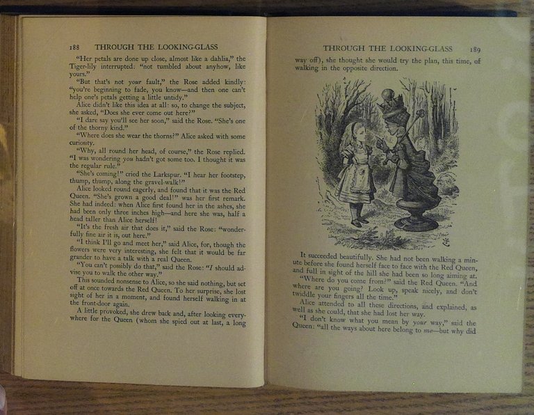 The Lewis Carroll Book