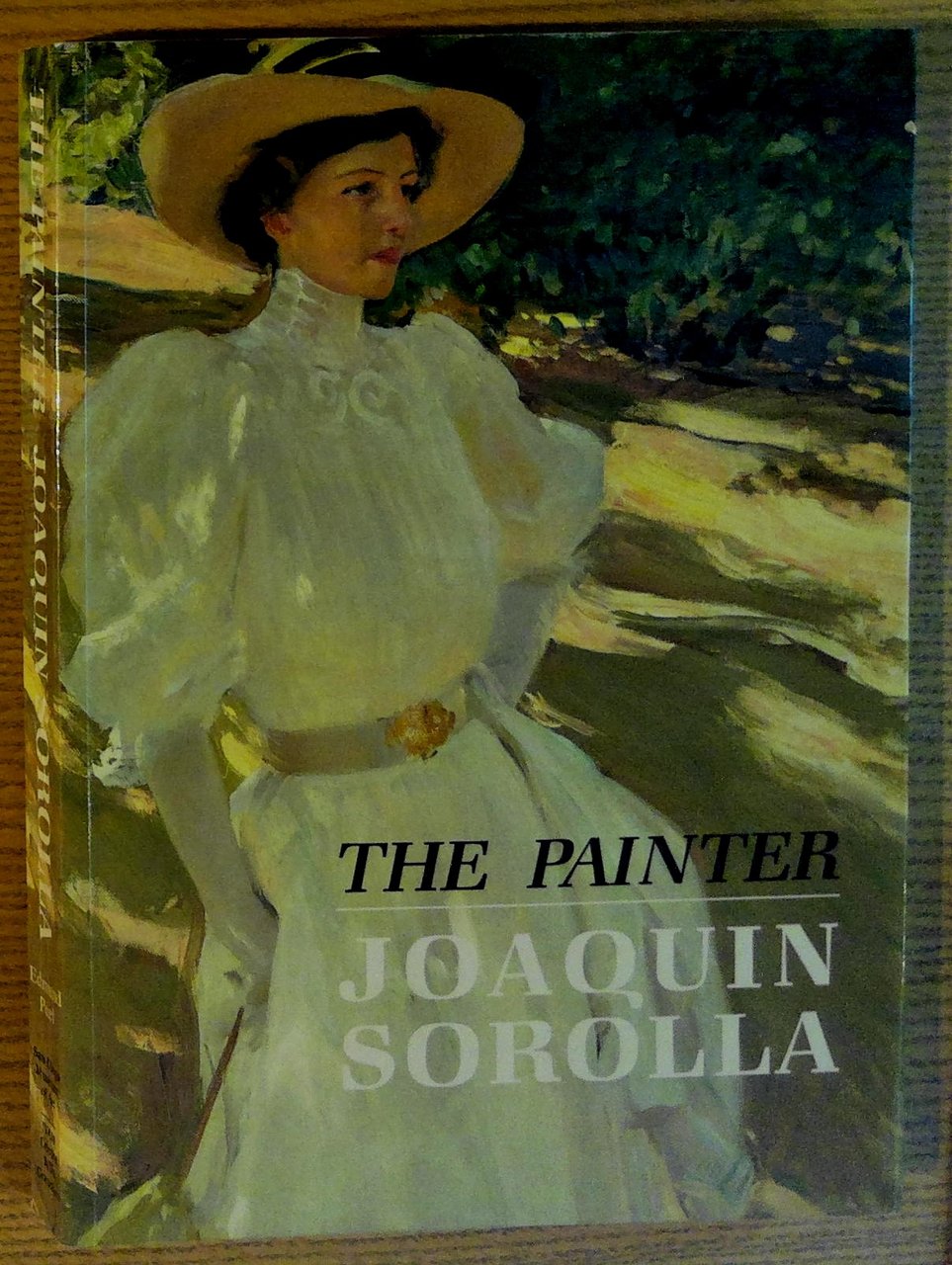 The Painter Joaquin Sorolla y Bastida