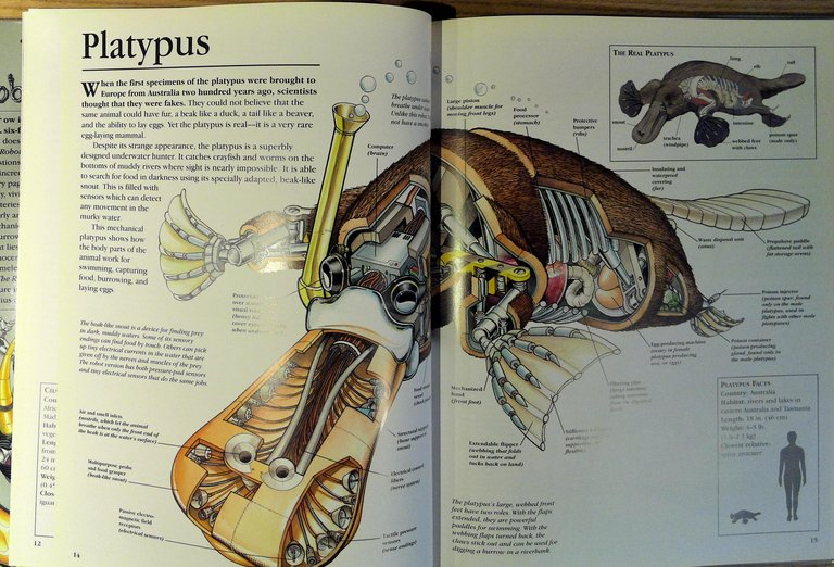 The Robot Zoo: A Mechanical Guide to the Way Animals …