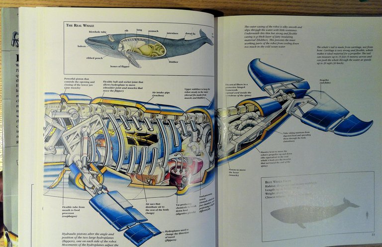 The Robot Zoo: A Mechanical Guide to the Way Animals …