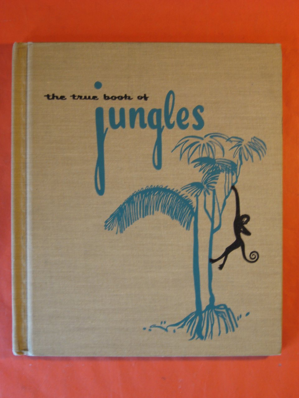 The True Book of Jungles