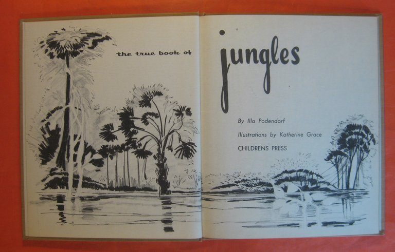 The True Book of Jungles