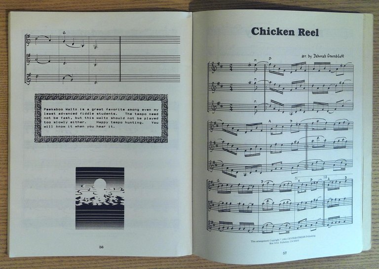 The Twin & Triple Fiddle Tune Book