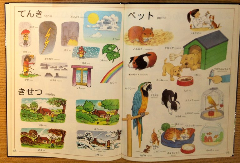 The Usborne First Thousand Words in Japanese