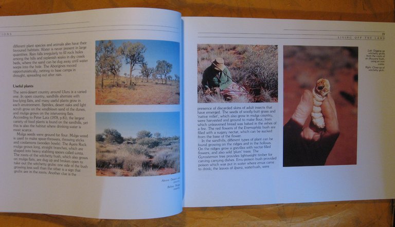 Uluru: An Aboriginal History of Ayers Rock