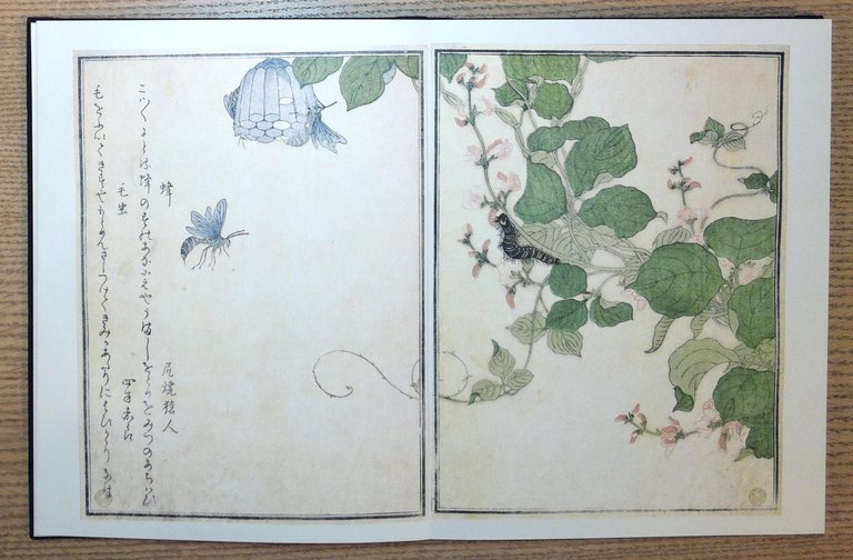 Utamaro: Songs of the Garden