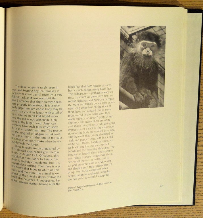 Vanishing Animals