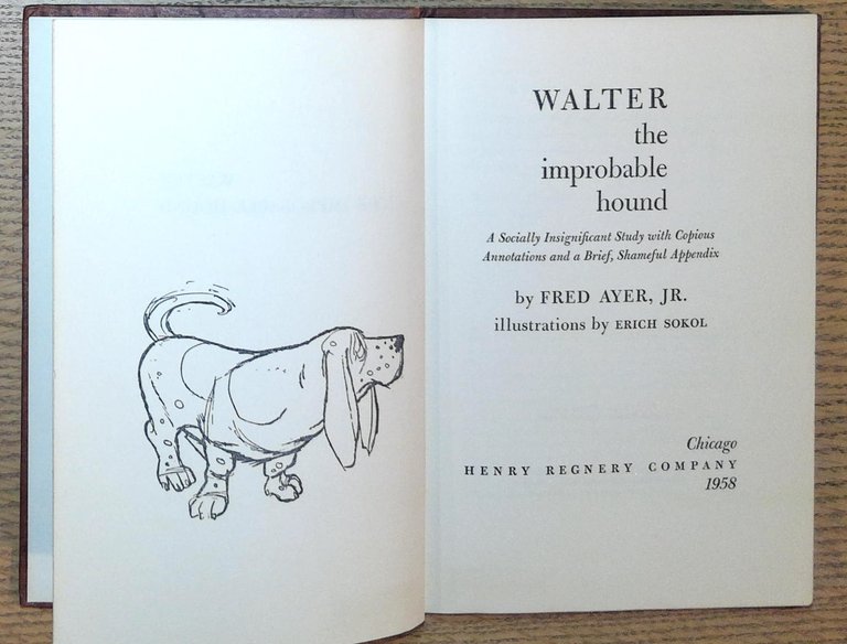 Walter The Improbable Hound