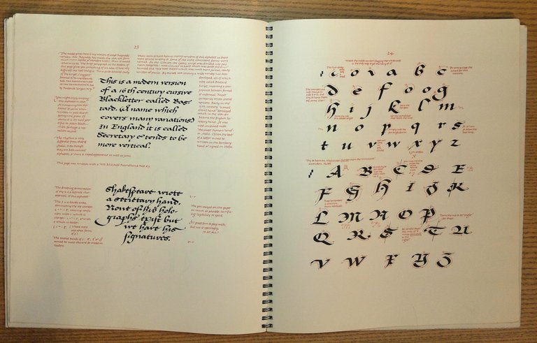 Written Letters: 22 Alphabets for Calligraphers