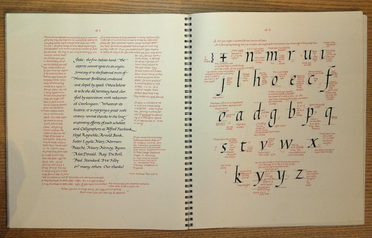 Written Letters: 22 Alphabets for Calligraphers