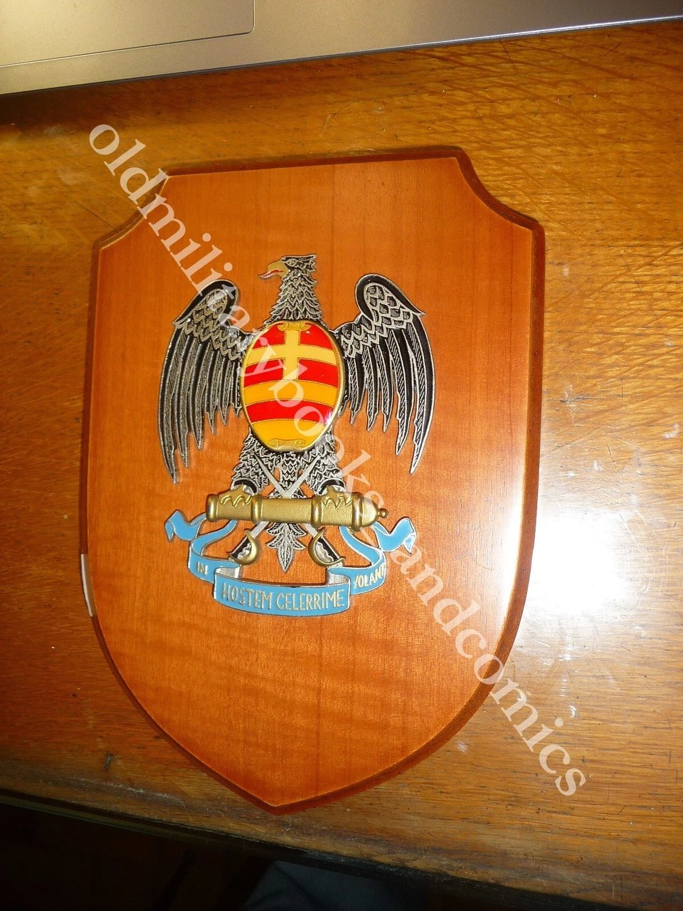 025 CREST EMBLEMA MILITARE REGGIMENTO ARTIGLIERIA A CAVALLO MOTTO IN …
