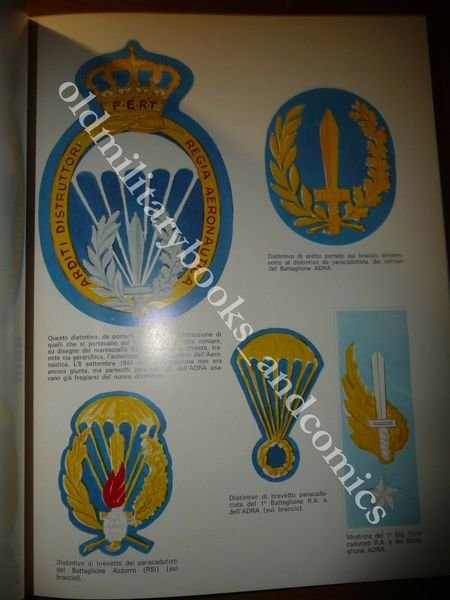 PALESTRA AZZURRA L'AERONAUTICA MILITARE E IL PARACADUTISMO CRONISTORIA FINO OGGI