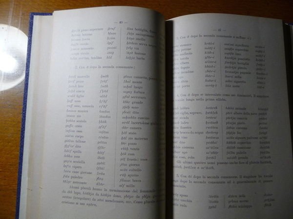 MANUALE DELL'ARABO PARLATO A TRIPOLI GRAMMATICA LETTURE E VOCABOLARIO 1912 …