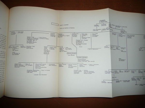 I BONAPARTE STORIA DI UNA FAMIGLIA DAVID STACTON 1967 DISCENDENZA …