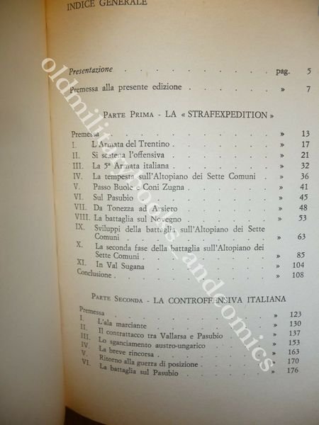 1916 LE MONTAGNE SCOTTANO DA PASUBIO ALTOPIANO DEI SETTE COMUNI …