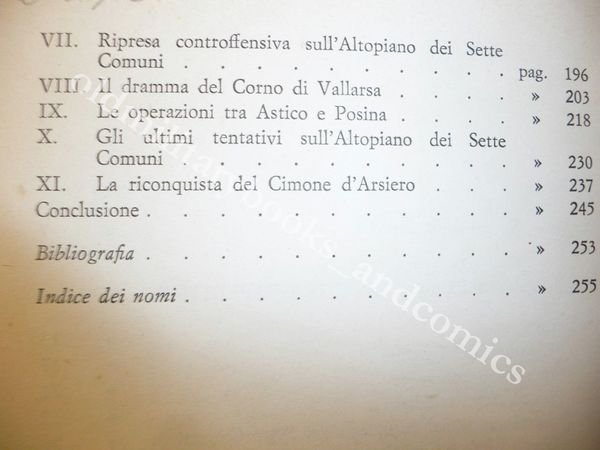 1916 LE MONTAGNE SCOTTANO DA PASUBIO ALTOPIANO DEI SETTE COMUNI …