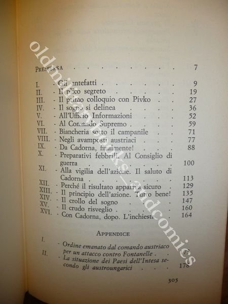 L'OCCASIONE PERDUTA CARZANO 1917 MANCATA OCCASIONE PER L'OCCUPAZIONE DI TRENTO