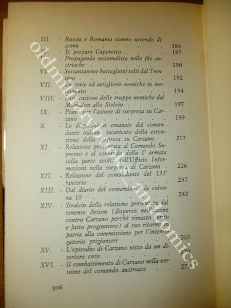 L'OCCASIONE PERDUTA CARZANO 1917 MANCATA OCCASIONE PER L'OCCUPAZIONE DI TRENTO