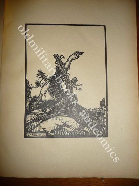 LA CORONA DEL RE V.E. BRAVETTA BELLE ILLUSTRAZIONI MORBIDUCCI 1925 …