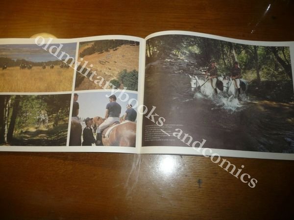 REGGIMENTO CARABINIERI A CAVALLO VOLUME A FORMA DI CALENDARIO 1992
