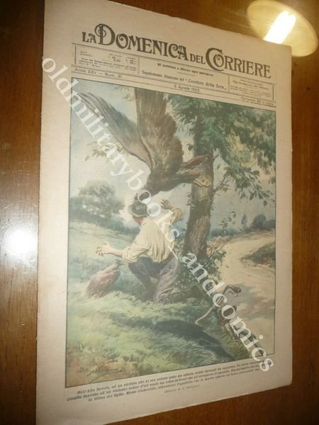 ALTA SAVOIA CICLISTA ASSALITO DA UN'AQUILA A PARIGI CLASSICA GARA … | Immagine Gallery 1