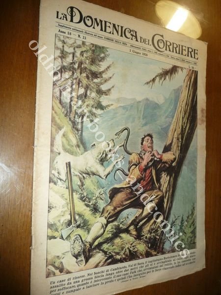 CAMBIARDO VAL DI SUSA TAGLIALEGNA ASSALITO DA SERPENTE ROMA BIMBO … | Immagine Gallery 1