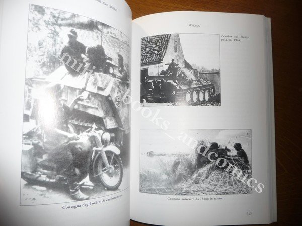 WIKING LA WAFFEN SS EUROPEA