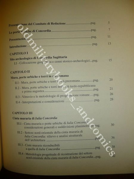 CINTA MURARIA E PORTE URBICHE DI IULIA CONCORDIA ANDREA TREVISANATO
