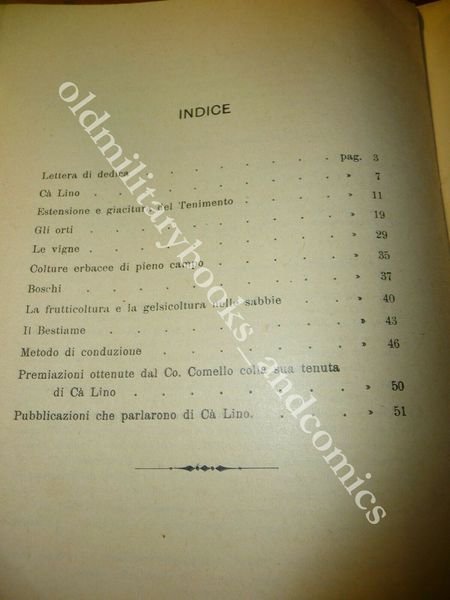 IL TENIMENTO DI CA-LINO CHIOGGIA ORTI VIGNE COLTURE BOSCHI FRUTTA …