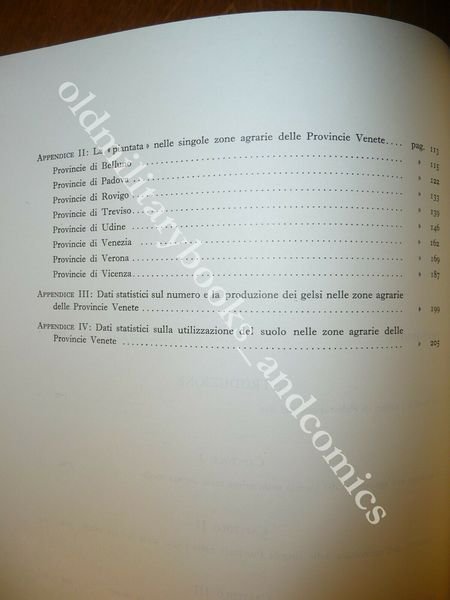L'AGRICOLTURA DEL VENETO NELLA PRIMA META DEL XIX SECOLO GIORGIO …