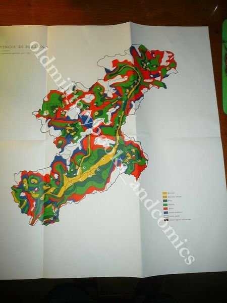 L'AGRICOLTURA DEL VENETO NELLA PRIMA META DEL XIX SECOLO GIORGIO …