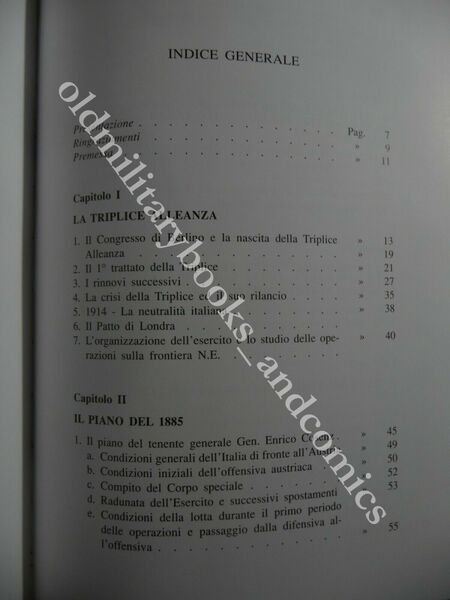 L'ITALIA NELLA TRIPLICE ALLEANZA MAURIZIO RUFFO