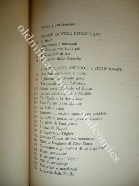 NAPOLI PUNTO E BASTA? DIVERTIMENTI, AVVENTURE, BIOGRAFIE, FANTASIE PER NAPOLETAN