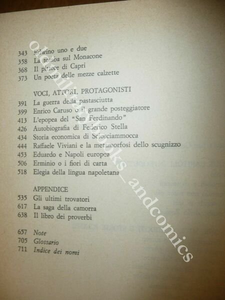 NAPOLI PUNTO E BASTA? DIVERTIMENTI, AVVENTURE, BIOGRAFIE, FANTASIE PER NAPOLETAN