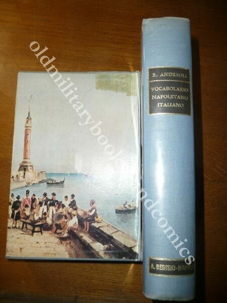 VOCABOLARIO NAPOLETANO ITALIANO RAFFAELE ANDREOLI