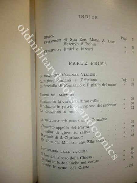 LACCO AMENO IL PAESE LA PROTETTRICE IL FOLKLORE PASQUALE POLITO
