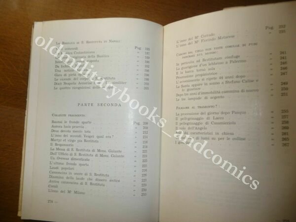 LACCO AMENO IL PAESE LA PROTETTRICE IL FOLKLORE PASQUALE POLITO