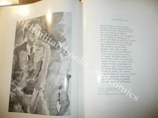 30 LIRICHE VERNACOLE VERONESI BEPO SPELA CON DISEGNI