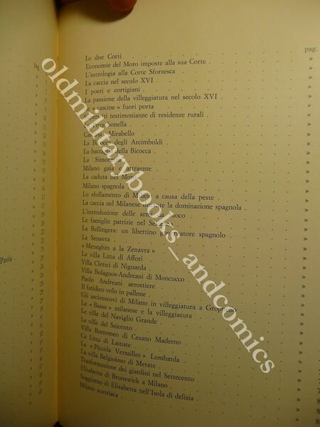 IN VILLEGGIATURA CON I MILANESI D'ALTRI TEMPI FAMIGLIA MENEGHINA 1979