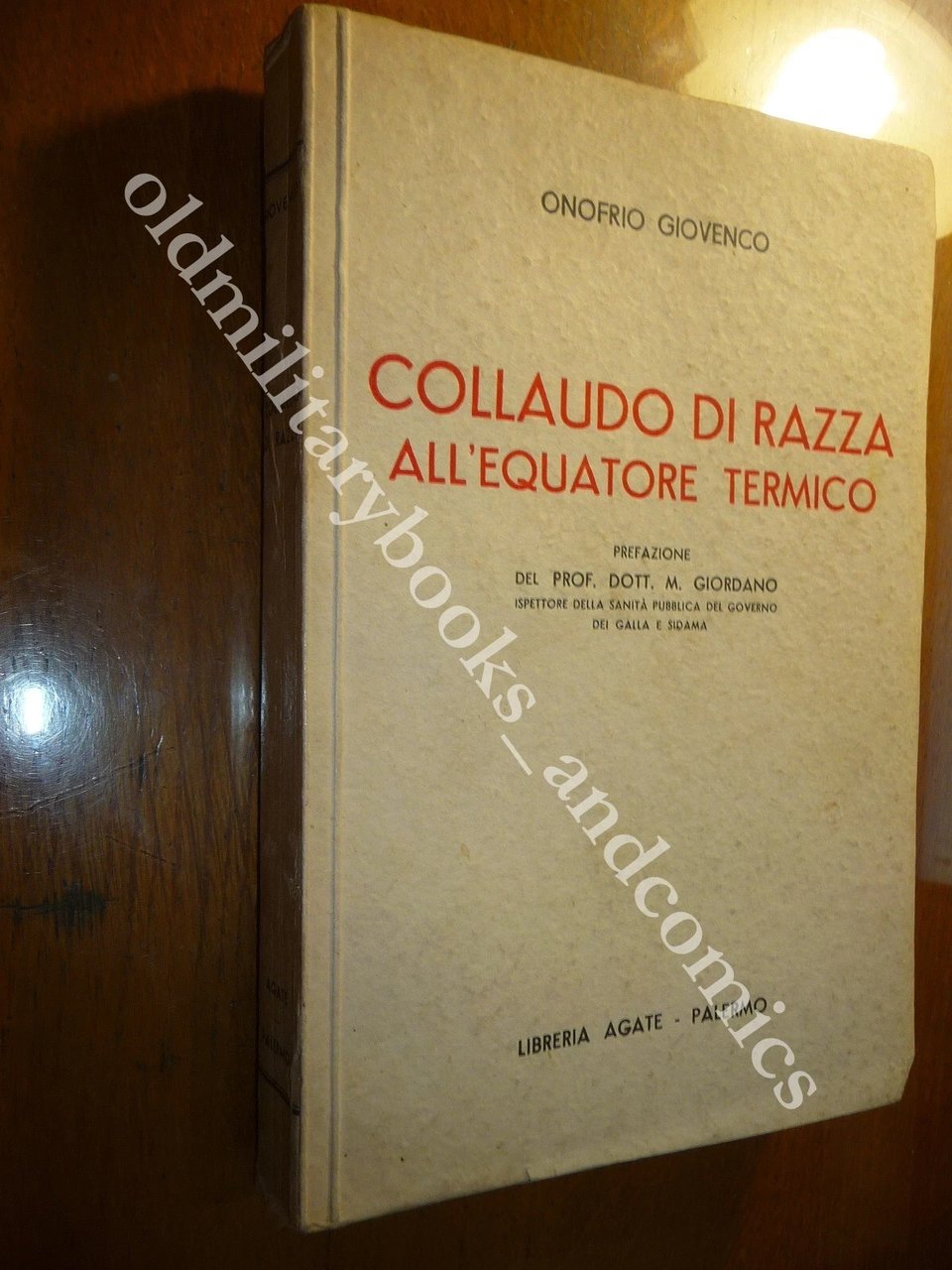 COLLAUDO DI RAZZA ALL'EQUATORE TERMICO ONOFRIO GIOVENCO